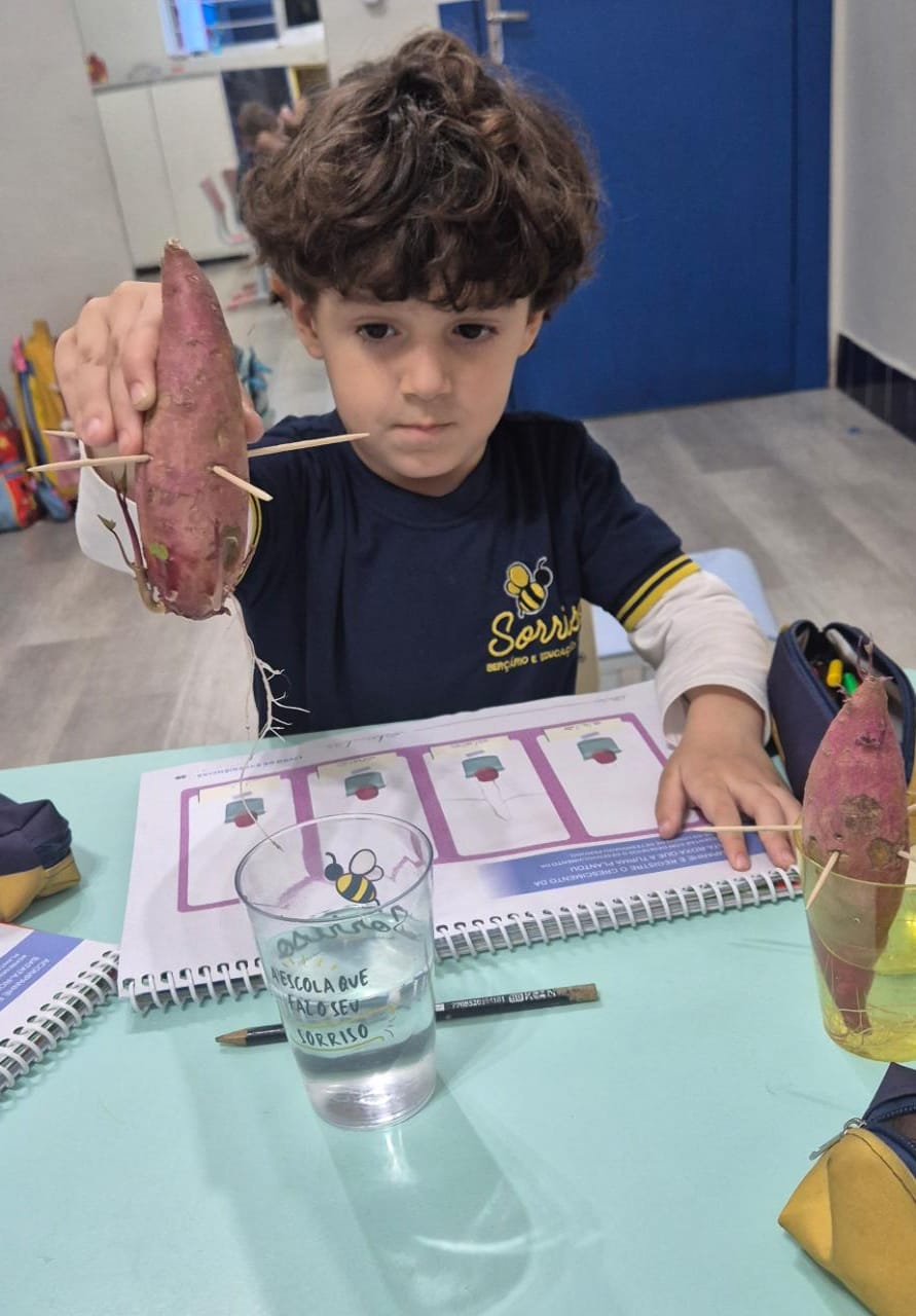 WhatsApp Image 2025-12-11 at 15.16.52